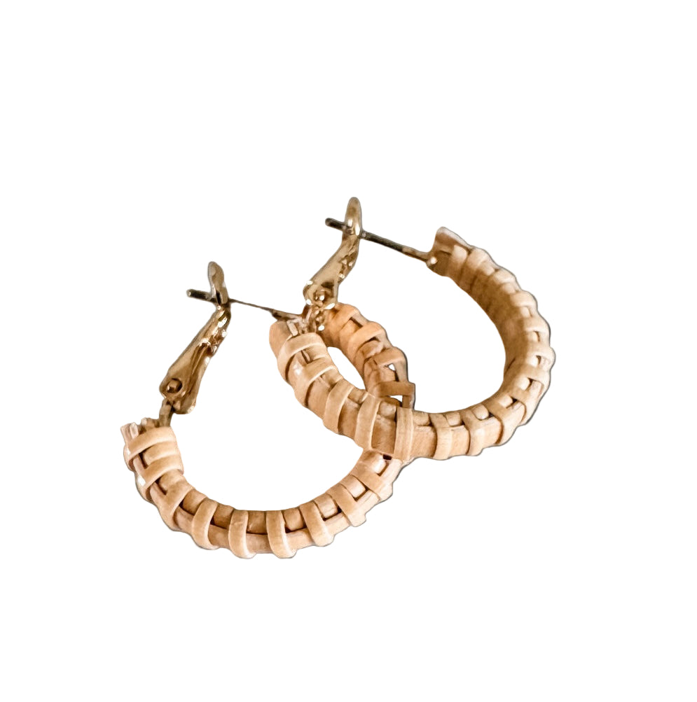small hoop earrings